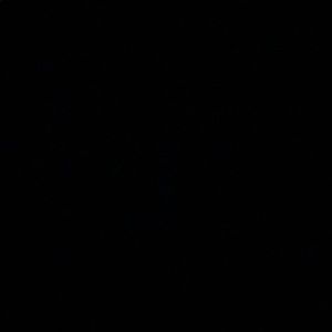 Meet your Posher, Luis